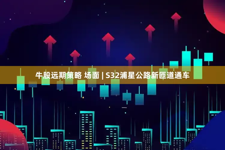 牛股远期策略 场面 | S32浦星公路新匝道通车