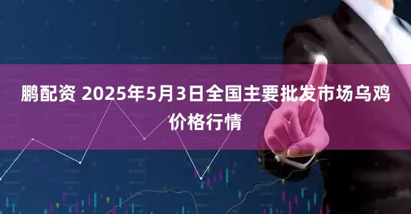 鹏配资 2025年5月3日全国主要批发市场乌鸡价格行情