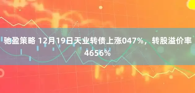 驰盈策略 12月19日天业转债上涨047%，转股溢价率4656%