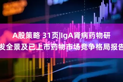 A股策略 31页|IgA肾病药物研发全景及已上市药物市场竞争格局报告